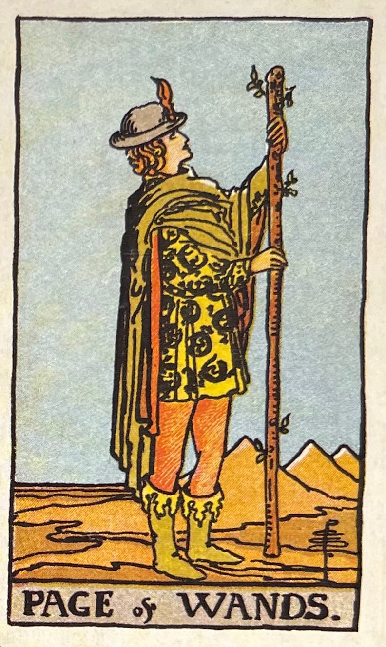 Pagem de Paus
